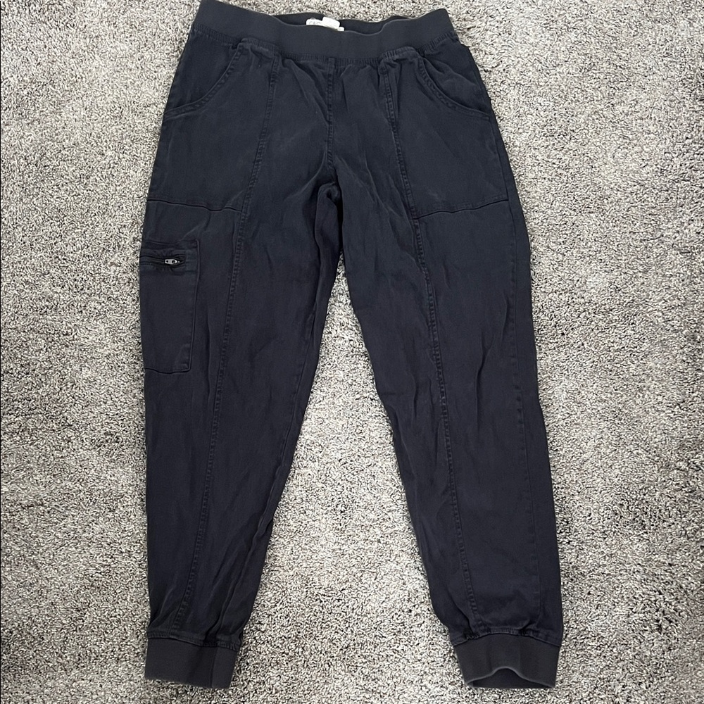 C&C California Dark Navy Cargo Pants